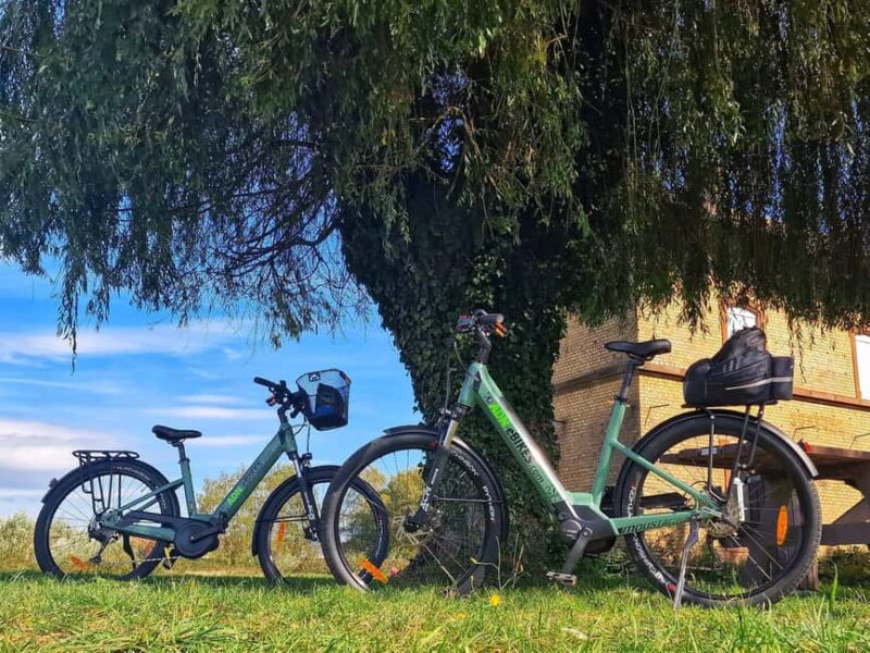 Lembach: Electric bike rental by the day - From Forest Trails to Village Streets in Lembach
