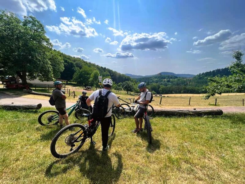 Lembach: Electric mountain bike rental by the day - Key Points