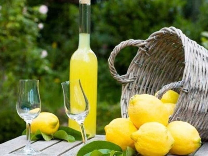 Lemon Experience with Limoncello demonstration - Final Thoughts on the Lemon Experience with Limoncello