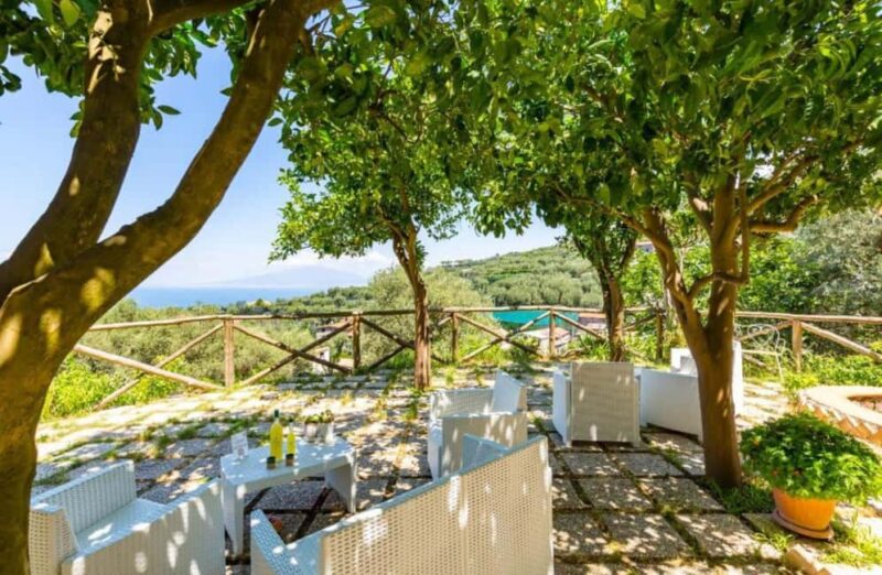 Lemon Grove Walk, Tastings, Aperitivo & Open Bar in Sorrento - Starting Point at Villa Beatrice Sorrento