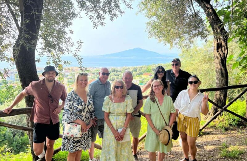 Lemon Grove Walk, Tastings, Aperitivo & Open Bar in Sorrento - How This Tour Stands Out from Similar Experiences