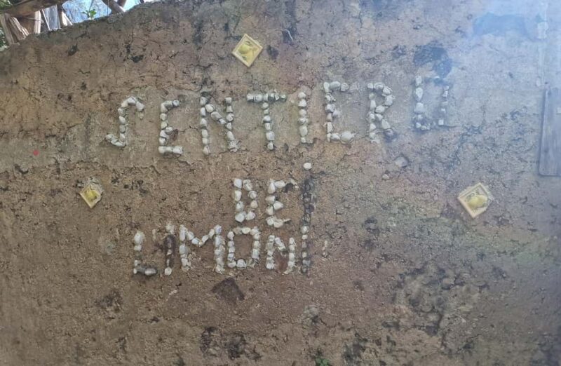 Lemon Path - Amalfi coast - Sea Swimming at Maiori or Minori
