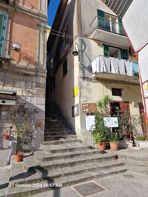 Lemon Path - Amalfi coast - The Guide and Multilingual Support