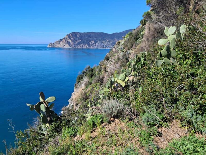 Lemon tour with limoncino and wine tasting in Vernazza (Cinque Terre) - Starting Point and Practical Details