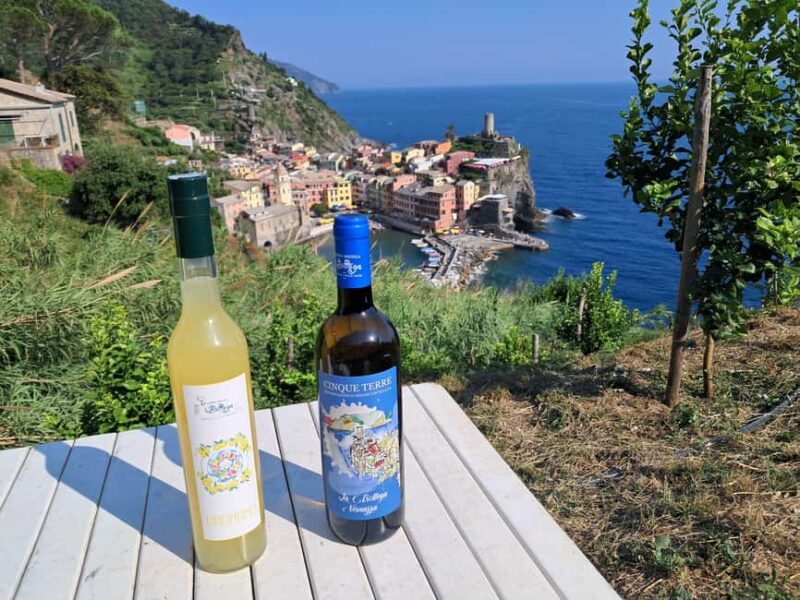 Lemon tour with limoncino and wine tasting in Vernazza (Cinque Terre) - The Scenic Return and Free Time in Vernazza