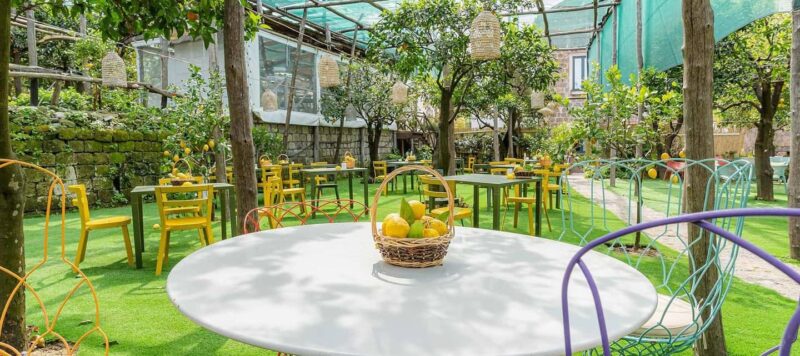 Lemon Tour with Lunch/Dinner - Exploring the Lemon Garden in Sorrento