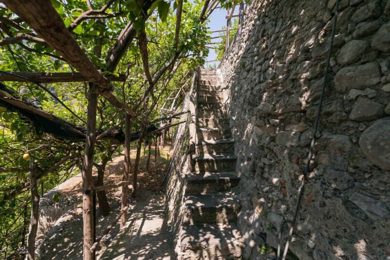 Lemons & Breathtaking Views: Amalfi Monumental Garden Tour - Discover the Charm of the Amalfi Monumental Garden Tour
