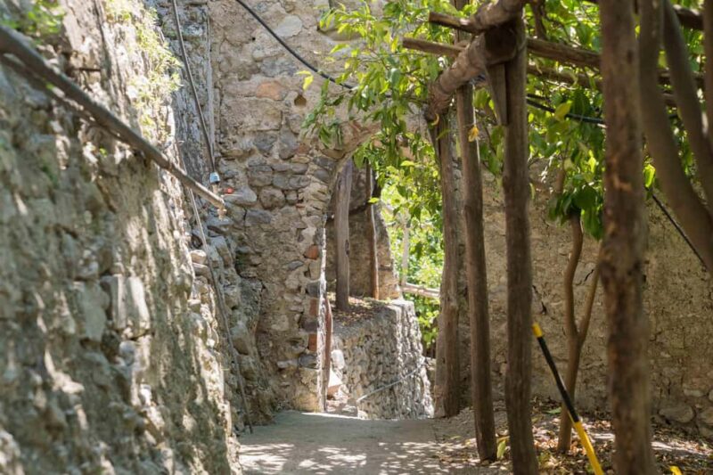 Lemons & Breathtaking Views: Amalfi Monumental Garden Tour - The Tasting Session: Lemonade, Cake, and Limoncello