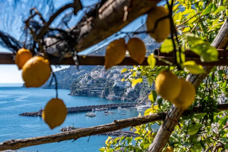 Lemons & Breathtaking Views: Amalfi Monumental Garden Tour - Practical Details: Meeting Point and Group Size