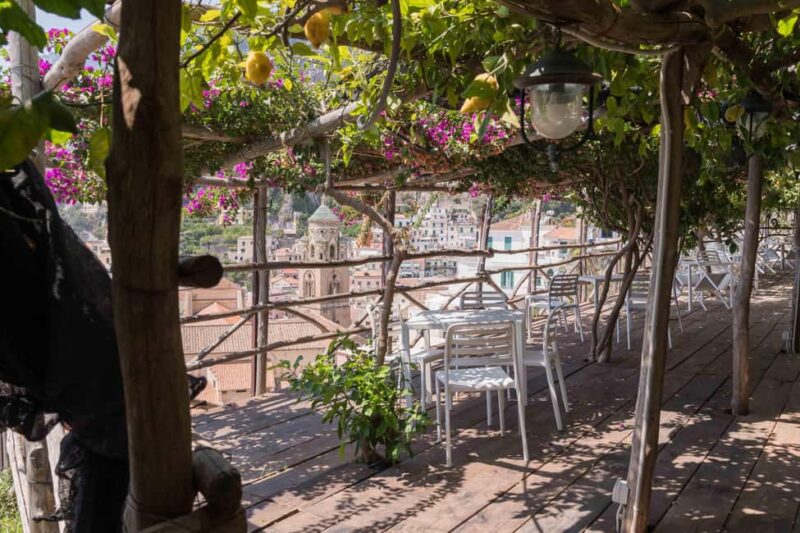 Lemons & Breathtaking Views: Amalfi Monumental Garden Tour - Who Will Appreciate This Tour the Most