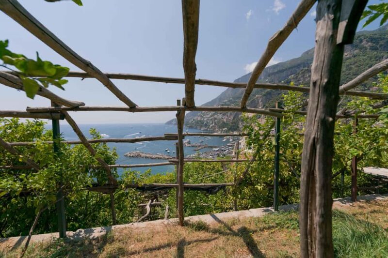 Lemons & Breathtaking Views: Amalfi Monumental Garden Tour - Summing Up the Amalfi Lemon Garden Tour