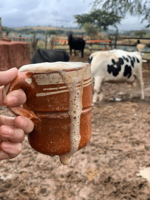 Leon: Cristero Rebellion Guided Tour with Breakfast - Visiting the Cristero Museums in San Diego de Alexandria and San Julián