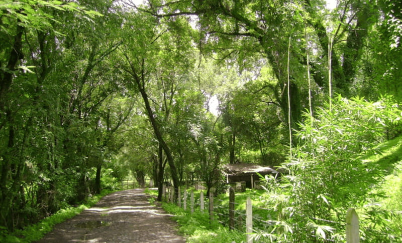 Leon: Jalpa in Its Natural State Tour with Lunch - Key Points