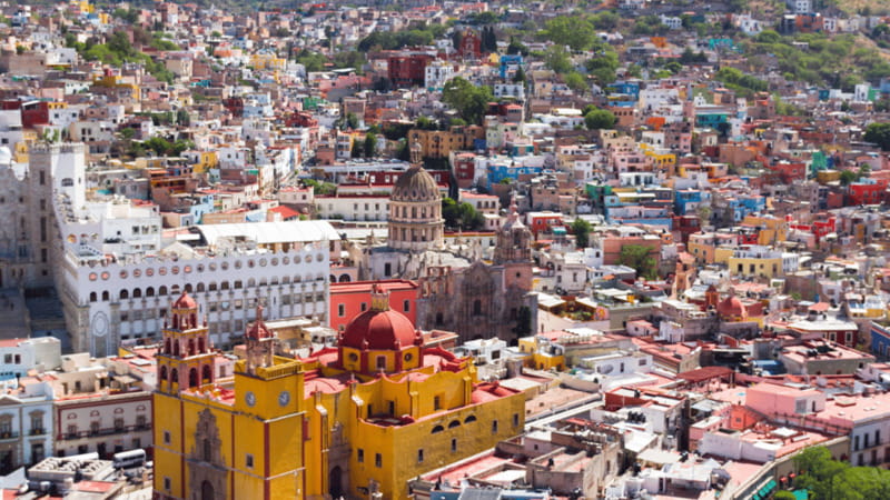 Leon: Shopping Safari Tour - The Role of the Guides in Enhancing Your Shopping Experience