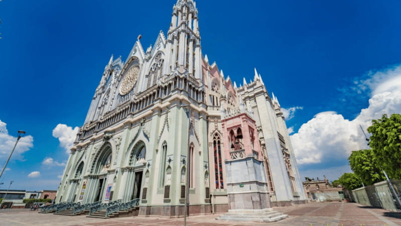 León: Wine Tour at Viñedo Leones & City Center Exploration - The Vineyard Experience and Wine Tasting