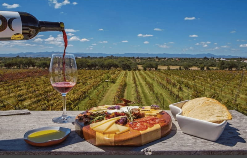 León: Wine Tour at Viñedo Leones & City Center Exploration - Timing, Cancellation Policy, and Booking Tips