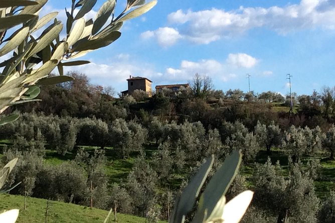 Leonardo da Vinci Voyage with Olive Oil, Food and Wine Dream - Key Points