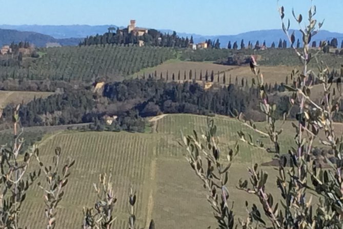 Leonardo da Vinci Voyage with Olive Oil, Food and Wine Dream - Discover Leonardo da Vinci’s Origins in Vinci