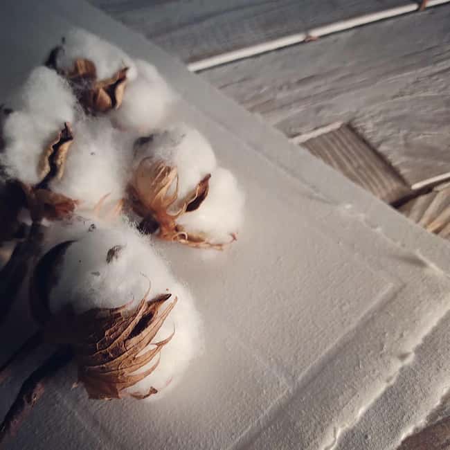 Leonforte, Sicily: Handmade Paper Workshop with Guided Tour - Discover the Unique Handmade Paper Workshop in Leonforte, Sicily