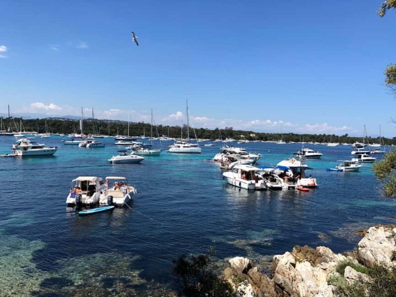 Lérins Islands Cruise and Snorkeling - Snorkeling, Swimming, and Underwater Exploration