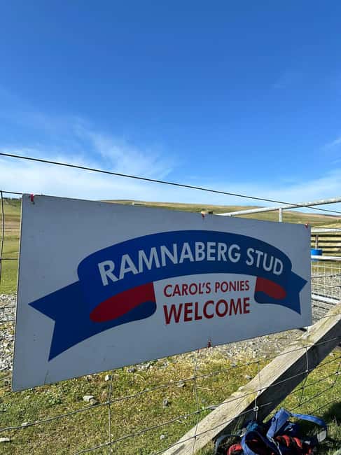 Lerwick: Shetland Pony Express - Limitations and Considerations