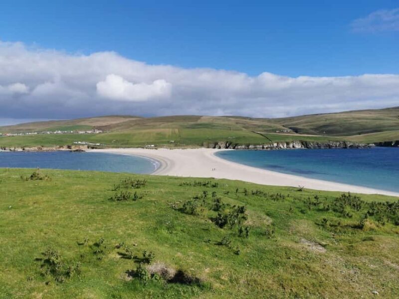 Lerwick: The Puffin Express - 3hr South Mainland Tour - Who Will Enjoy the Puffin Express?