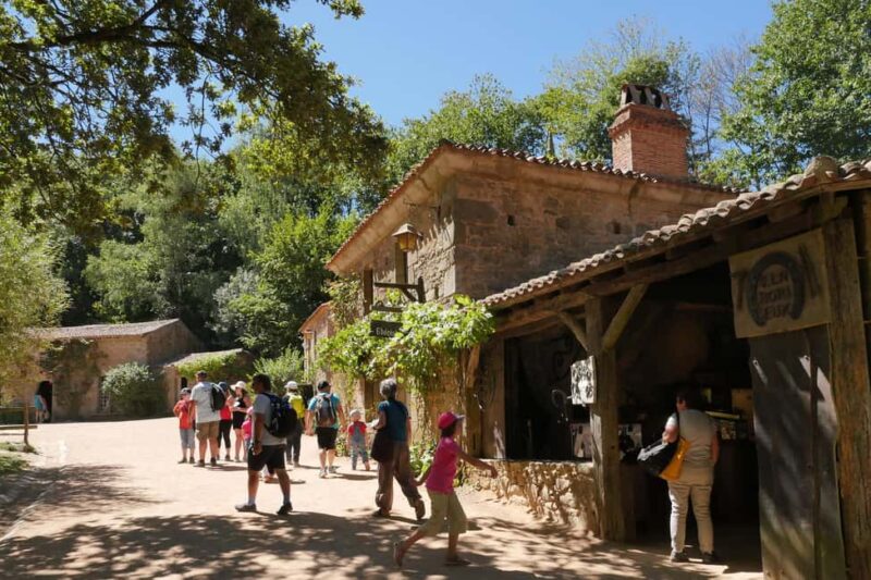 Les Epesses: Puy du Fou Theme Park 1-Day Entry Ticket - Practical Tips and Visitor Experience