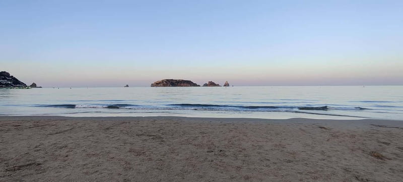 L'Estartit: Boat Trip to Les Illes Medes and the caves - Wildlife Encounters: Dolphins, Tuna, and Fish