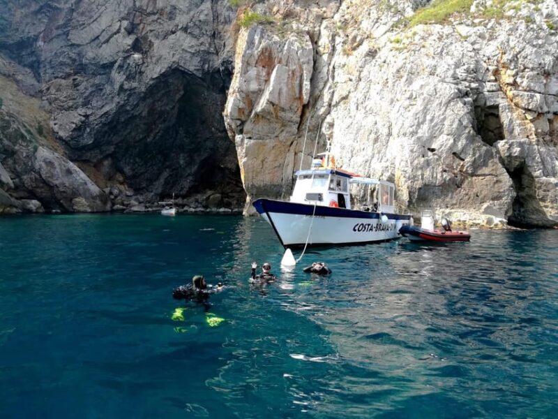 L'Estartit: Dive and Snorkeling in Montgrí Natural Park - Explore Marine Wonders with a Beginner-Friendly Dive and Snorkel Tour in Montgrí Natural Park