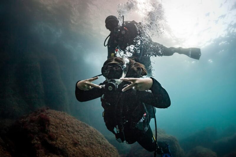 L'Estartit: Dive and Snorkeling in Montgrí Natural Park - How the Tour Starts at Medaqua Snorkel Tours in LEstartit