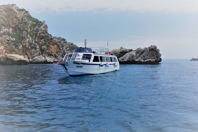 L'Estartit: Snorkeling in the Medes Islands - Snorkeling in the Medes Islands: What to Expect