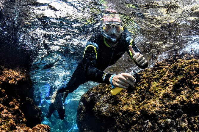 L'Estartit: Snorkeling in the Medes Islands - Final Thoughts on LEstartit Snorkeling in the Medes Islands