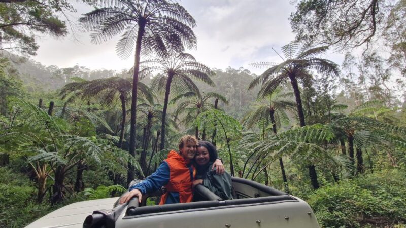 Let-Me-Surprise-You Madeira Full Day Private Tour - The Role of a Knowledgeable and Friendly Guide
