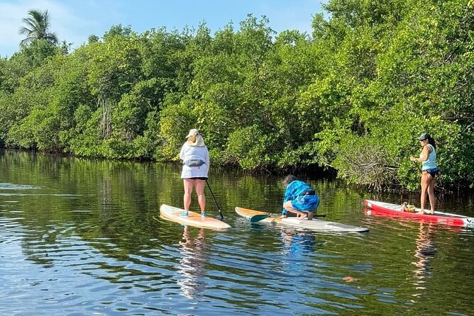 Lets Paddle! Jupiter & surrounding areas - Who Will Enjoy This Private Paddleboarding Tour