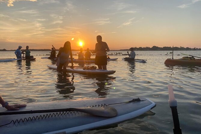 Lets Paddle! Jupiter & surrounding areas - The Sum Up: A Calm and Private Paddleboarding Experience in Jupiter
