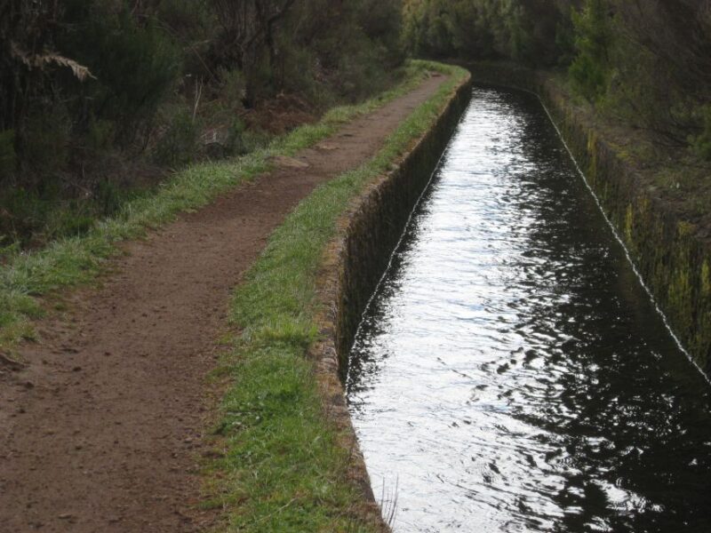 Levada do Alecrim (Madeira Lakes) Full-day walk - The Experience of the Guides and Tour Group