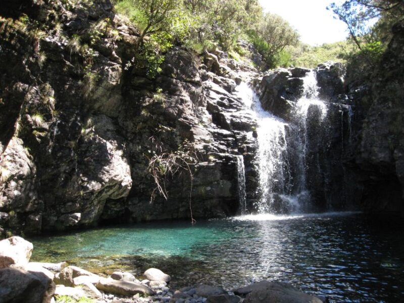 Levada do Alecrim (Madeira Lakes) Full-day walk - Flexibility and Cancellation Policy