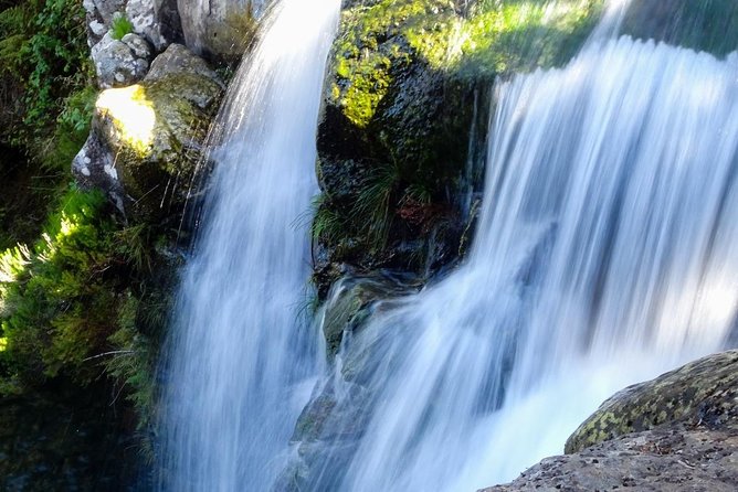 Levada do Alecrim - Rosemary Levada (Full Day Walk) - Discover the Beauty of Madeiras Rosemary Levada