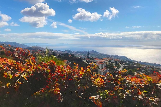 Levada do Norte - Walking Tour - The Unique Experience of a Guided Tour