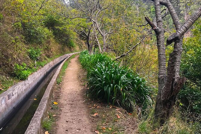 Levada do Norte - Walking Tour - Frequently Asked Questions