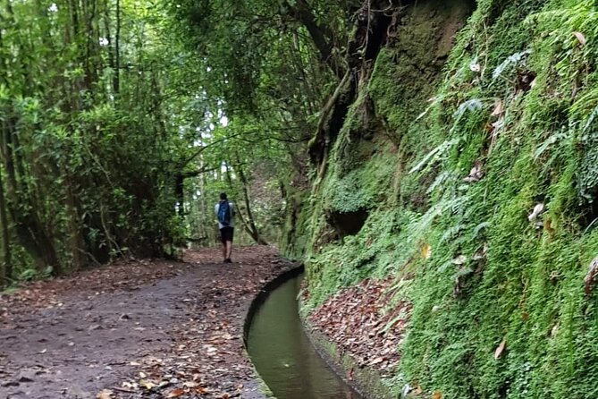 Levada do Rei - Ribeiro Bonito (Full Day Walk) - Levada do Rei – A Scenic Path Through Madeira’s UNESCO Forest