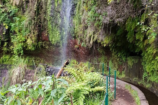 Levada do Rei - Ribeiro Bonito (Full Day Walk) - The Guide’s Role in Enriching the Walk