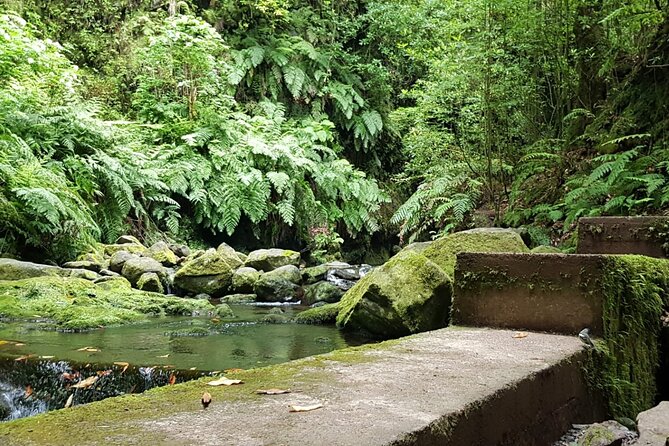 Levada do Rei - Ribeiro Bonito (Full Day Walk) - Booking and Flexibility
