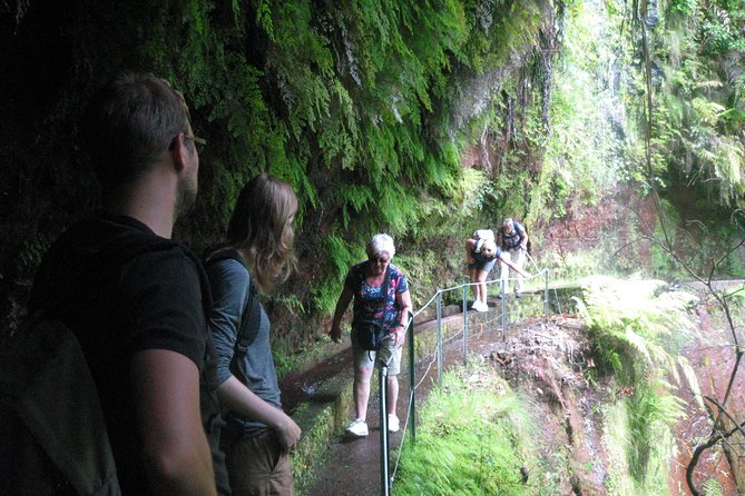 Levada do Rei - Ribeiro Bonito (Full Day Walk) - Who Will Enjoy This Tour Most