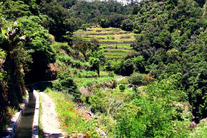 Levada dos Maroços - Practical Info: Booking, Group Size, and Additional Fees