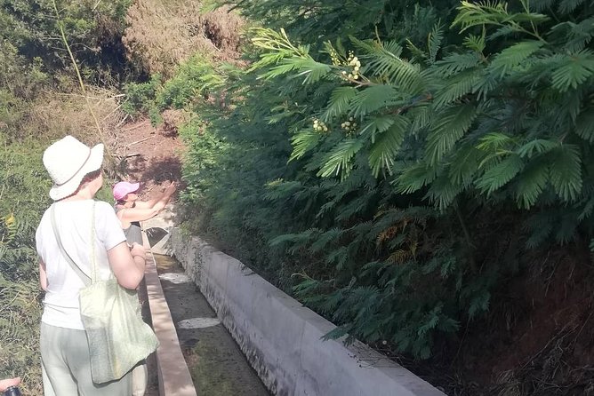 Levada Serra D´Agua - What to Expect on the Guided Levada Walk