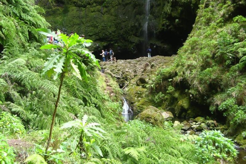 Levada Walk and Caldeirao Verde Waterfalls: Madeira - Caldeirão Verde Waterfall and Picnic Stop