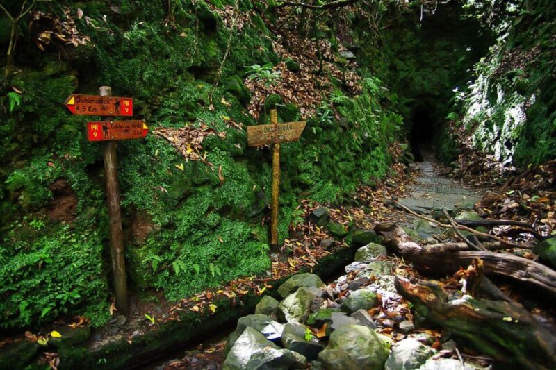 Levada Walk and Caldeirao Verde Waterfalls: Madeira - Guides Who Enhance the Walk