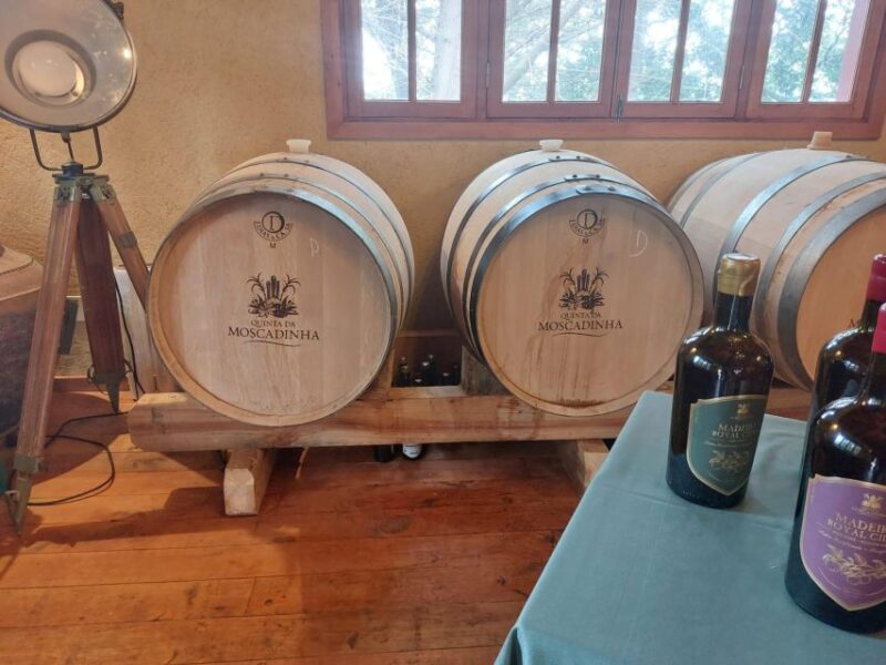 Levada Walk, Cider Tasting & Lunch - Exploring Madeira’s Iconic Levada Paths