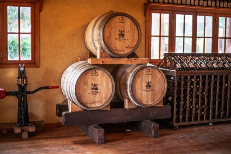 Levada Walk, Cider Tasting & Lunch - The Quality of Ciders at Quinta da Moscadinha